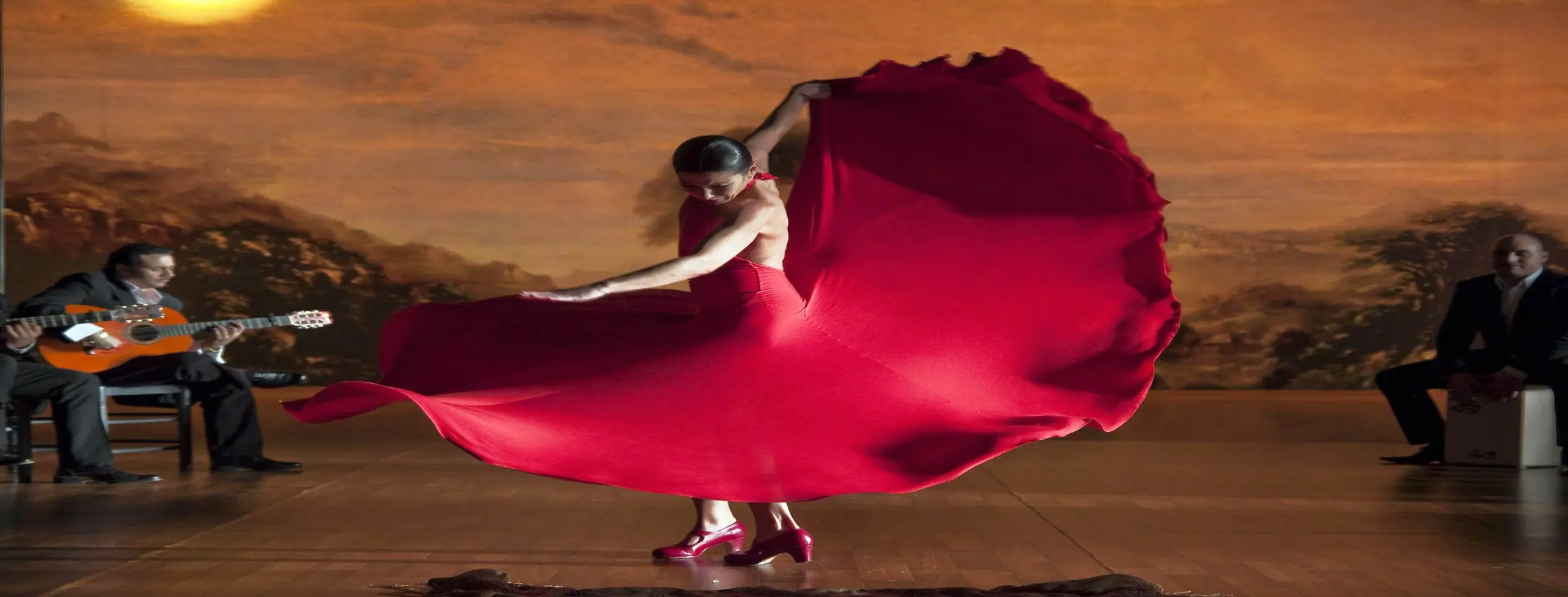 Image for Flamenco Show